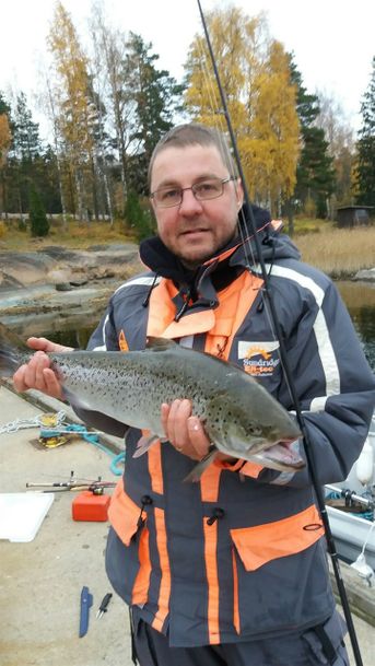 Meritaimen 4,0 kg Kirkonmaasta syksyllä 2016