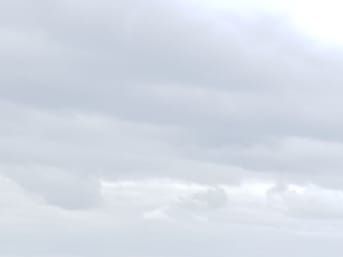 Kevättaimensafari 2019 voittaja Markus ja taimen 53cm.